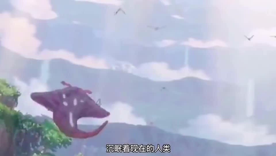 婚礼花絮的定义，越详细越好