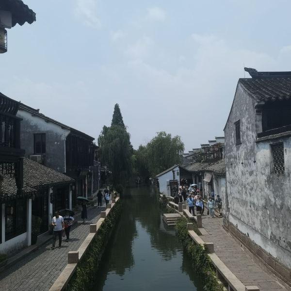 尽在马斯克称出售特斯拉股票是为救推特,推特未来是否能够扭亏为盈呢?,专业问答交流平台