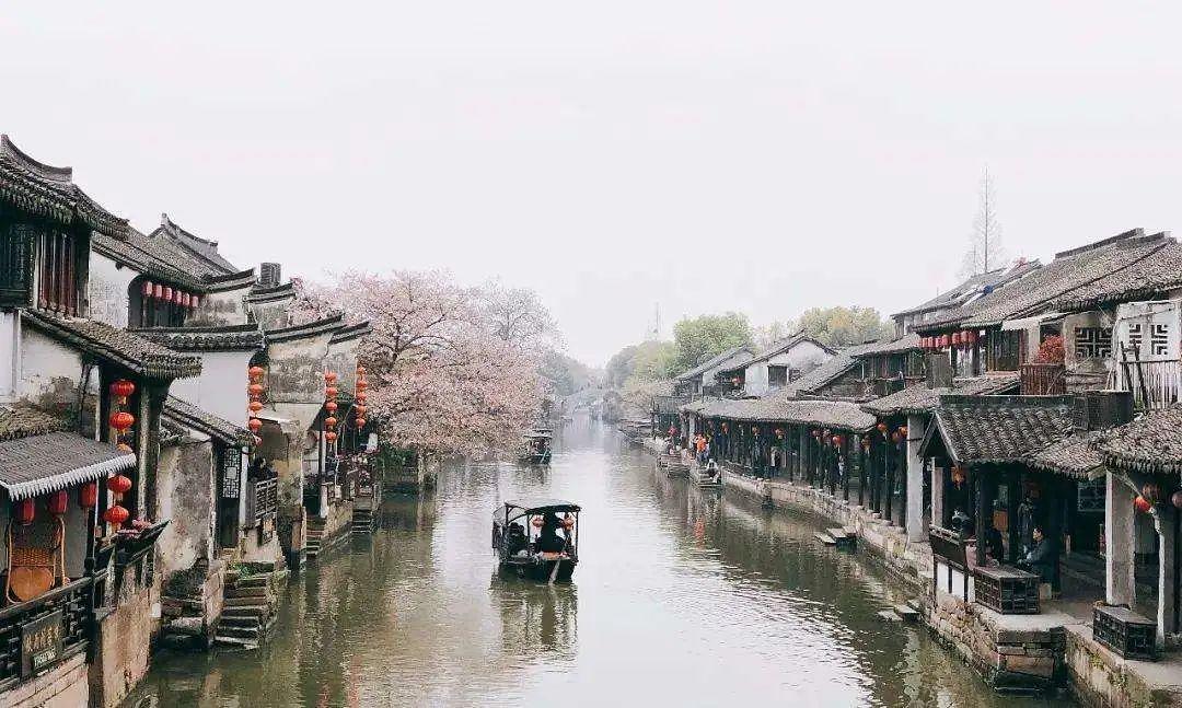 月光影视